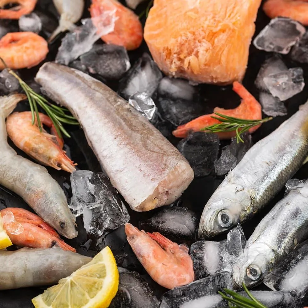 Frozen Fish